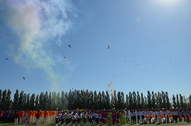 DSC_1329_副本.jpg